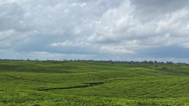 Cinta Alam Cinta Kehidupan